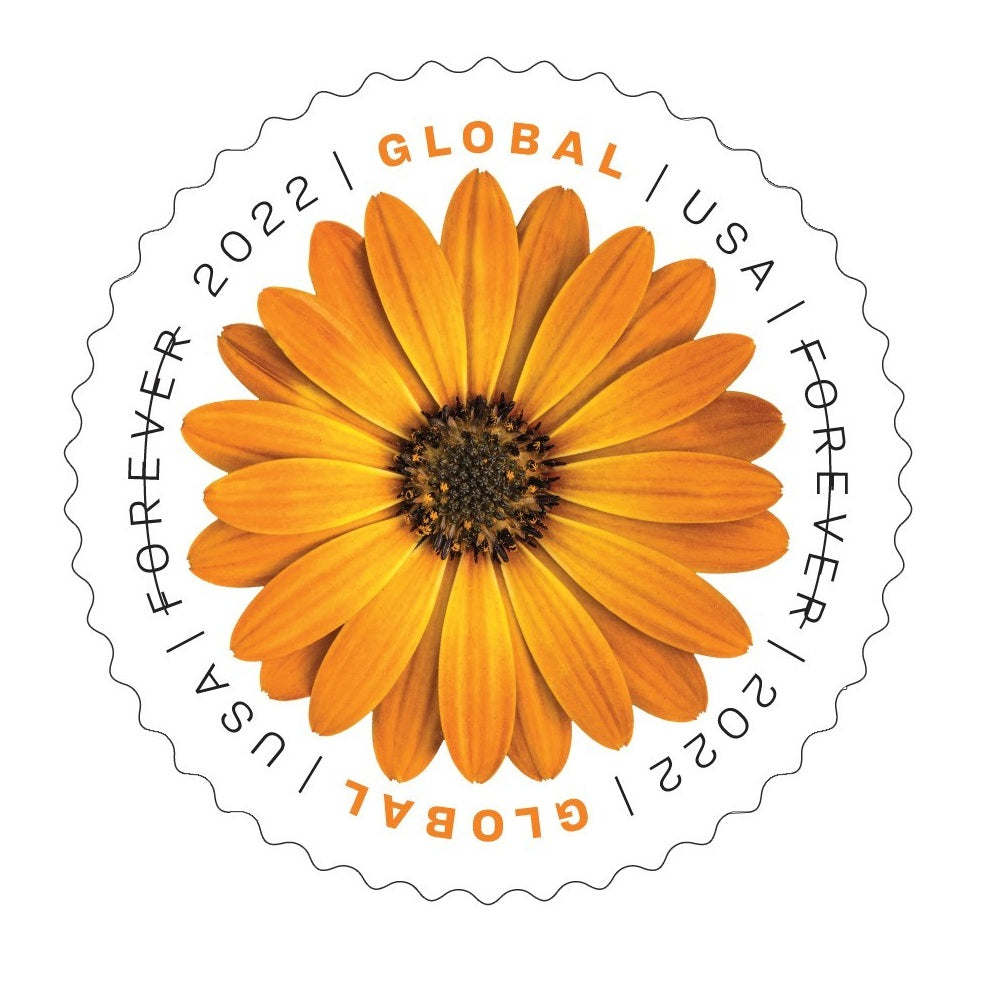 Global African Daisy 2022 50pcs(5 sheets)