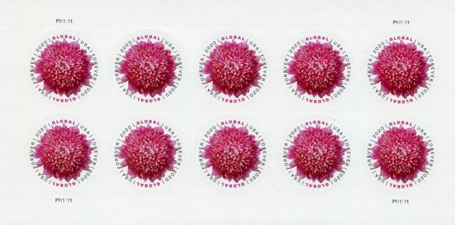 Global Chrysanthemum 2020 50pcs(5 sheets) - Image 2