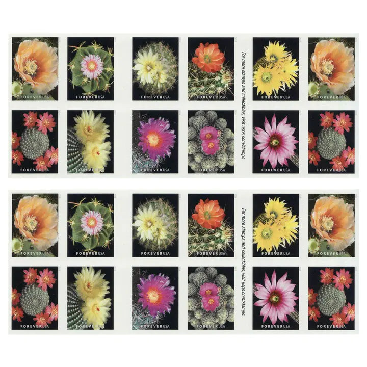 Cactus Flowers 100pcs(5 sheets) - Image 2