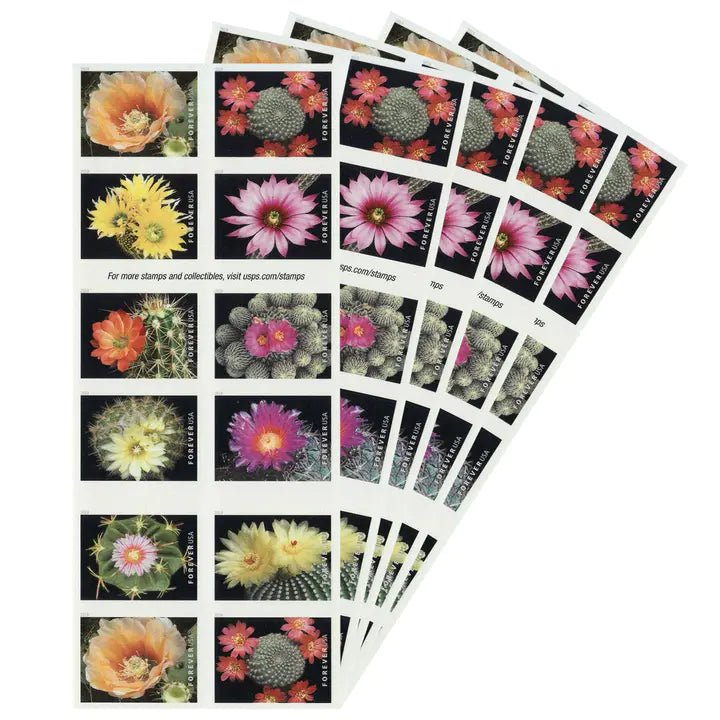 Cactus Flowers 100pcs(5 sheets) - Image 3