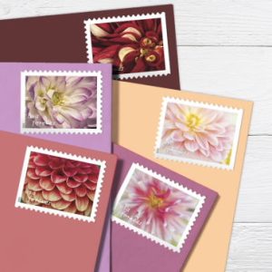 Dahilias stamps