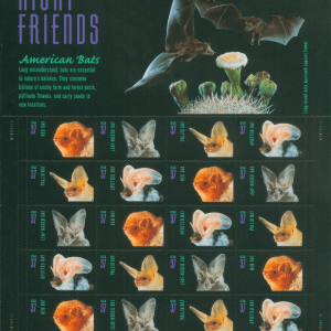 American Bats 2002