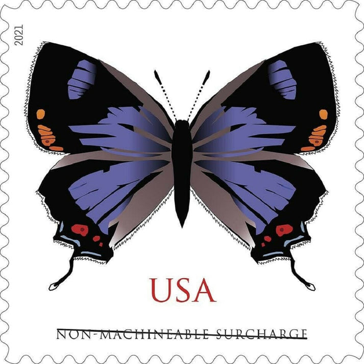 Colorado Hairstreak 2021