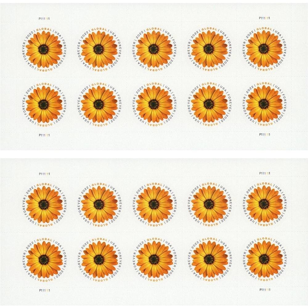 Global African Daisy 2022 50pcs(5 sheets) - Image 2