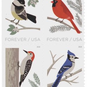 Birds in Winter 2018